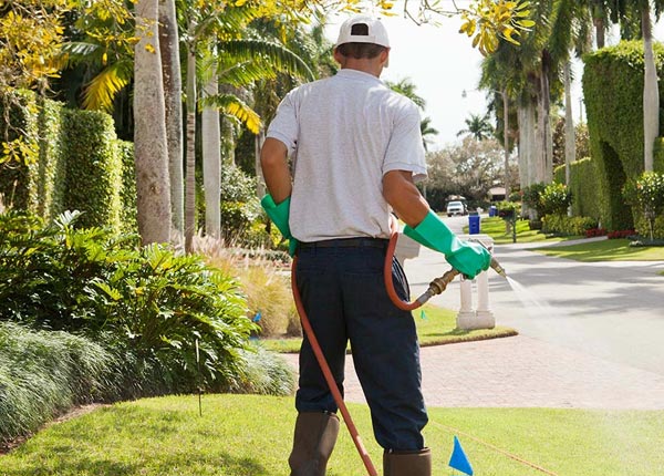 About Covel WV Pest Control Pros